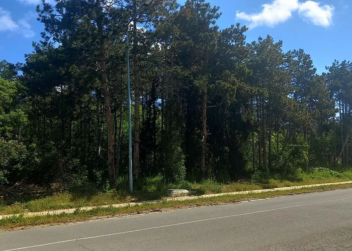 Sea Sirena With A Mountain View アパート *